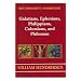 New Testament Commentary: Exposition of Galatians, Ephesians, Philippians, Colossians, and Philemon