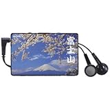 SONY FMXeI(Ch)/AMJ[hWI SRF-220 LI JEW