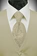 Bamboo Solid Satin Vest with Coordinating Tapestry Tie