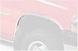 Putco 97107 Stainless Steel Fender Trims
