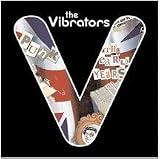 Punk: The early Years an album by Vibrators