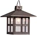Primal Lite 836687 Patio Lites Plastic Arts and Crafts Lantern Miniature Party Light