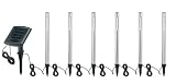 Set of 6 Solar Garden Stake Lights