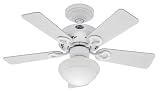 Hunter 20422 Bainbridge 1-Light 36-Inch 5-Blades Ceiling Fan