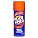 31ZnG CvbqL. SL75  Cleanup Solutions for Pet Stains and Odors