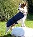 14 Bottle Green Dog coat