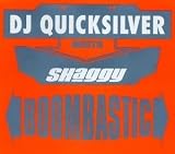 Dj Quicksilver lyrics