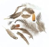 Natural Feather Assortment - Feather Assortment, frac12; oz