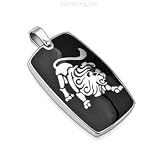 316L Stainless Steel Zodiac Pendant. Leo
