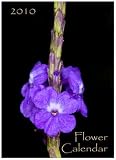 2010 Flower Calendar