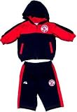 Boston Red Sox Toddler Baby Boy Two Tone Knit Hooded Jogging Suit