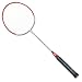 Sporting Goods : BSN Sports Economy Youth Badminton Racket