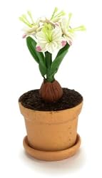 Dollhouse Miniature White Flowering Amaryllis
