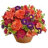 Flowers - Rushmore