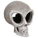 Exotic Environments Alien Skull, Small, 4-1/2-Inch by 5-1/2-Inch by 5-1/2-Inch