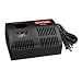 Ryobi 140237023 18-Volt Class 2 Single Port Battery Charger