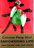 Chinese Feng Shui Hand Carved Jade Lucky Charm – Empowering Life