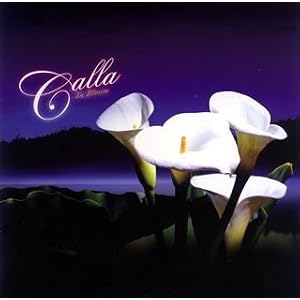 Calla Is Now in Bloom by Calla (Audio CD - 2008) - Import