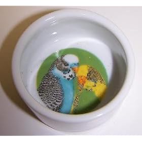 Vo-Toys Ceramic Round Shape Bird Cup with Decal by Votoy