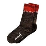 Smartwool Women's New Ombre Crew