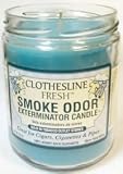 Odor Exterminator Candle Clothesline Fresh 13oz