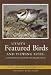 Utah's Featured Birds