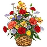 Flowers - Carnival of Color