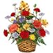 Flowers - Carnival of Color
