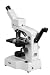Nexcope CM303H Student Biological Microscope