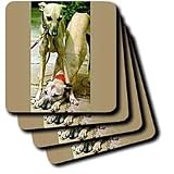 Dogs Whippet - Whippet - Coasters