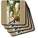 Dogs Whippet - Whippet - Coasters