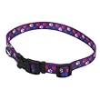 Coastal Pet Pet Attire Styles Adjustable Nylon Dog Collar (Special Paws, 18-26 Inch L x 1 Inch W)