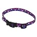 Coastal Pet Pet Attire Styles Adjustable Nylon Dog Collar (Special Paws, 18-26 Inch L x 1 Inch W)