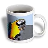 Birds - Blue and Gold Macaw - Mugs