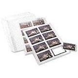Avery Ink-Jet Printer White Business Cards (10 Pack)