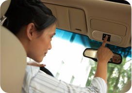 BlueConnect Generation II Handsfree Bluetooth Kit (Oak)