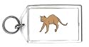 Keychain with burmese, cat, stretching, pet, animal