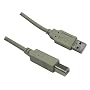 Hi-Speed USB 2.0 A to B Universal Printer Cable (6 Feet) HP Canon, Lexmark, and Epson.