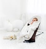 BB - Cozy Cover for Babysitter