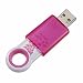 Sandisk 80gb Cruzer Fleur Usb Flash Drive