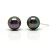 HinsonGayle AAA 8.0-8.5 Peacock Pearl Stud Earrings (14kWG)
