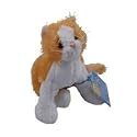 Webkinz Lil&rsquo; Orange Cat with Trading Cards
