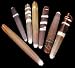 20+ Rare Sea Urchin Spines Seashells