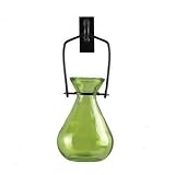 Lime Glass Teardrop Vase & Mini Hanger with Wall Hook