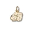 Driver Number 48 Small 5/16" Charm/Pendant -14K/10K, Stainless Steel or Gold Plated