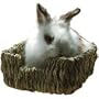 Peter's Woven Grass Pet Bed