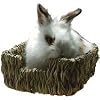 Peter's Woven Grass Pet Bed