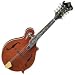 Musical Instruments : Legacy Dragonfly Flame Acoustic Electric Mandolin (Walnut)
