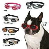 ILS LG Doggles, Style: Silver Skull Frame/Smoke Lens