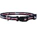 Pet Supplies : New England Patriots Official NFL Dog Collar - Size Large